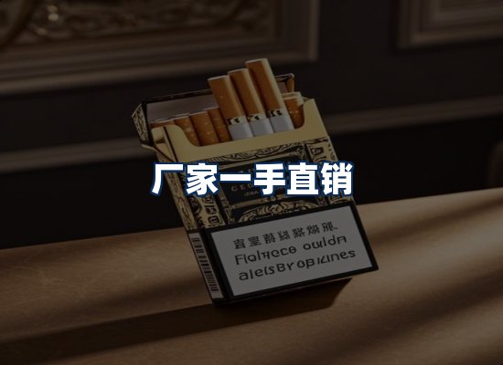 专业团队办公环境